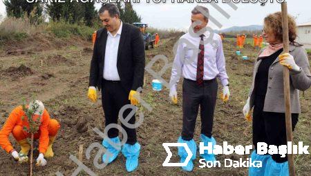 Dalaman Açık Cezaevi’nde Tarımsal Hamle: Sakız Ağaçları Toprakla Buluştu