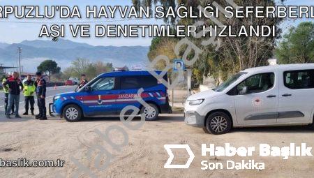 Karpuzlu’da Hayvan Sağlığı Seferberliği: Aşı ve Denetimler Hızlandı