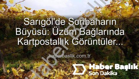 Sarıgöl’de Sonbaharın Büyüsü: Üzüm Bağlarında Kartpostallık Görüntüler Eşliğinde Budama Çalışmaları