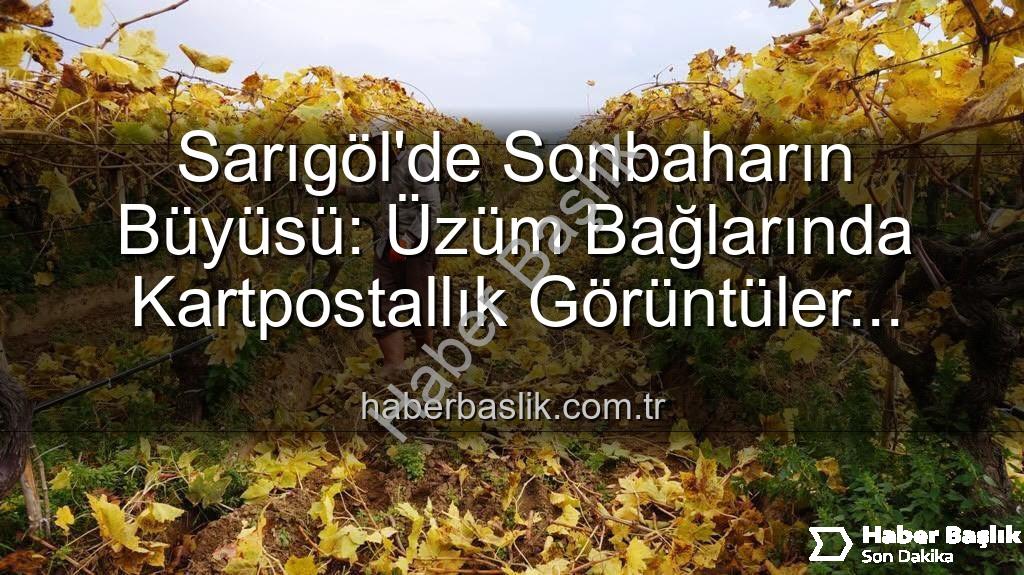 Sarıgöl budama - Sarıgöl'de Sonbaharın Büyüsü: Üzüm Bağlarında Kartpostallık Görüntüler Eşliğinde Budama Çalışmaları