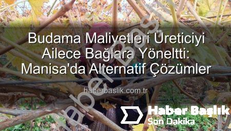 Budama Maliyetleri Üreticiyi Ailece Bağlara Yöneltti: Manisa’da Alternatif Çözümler