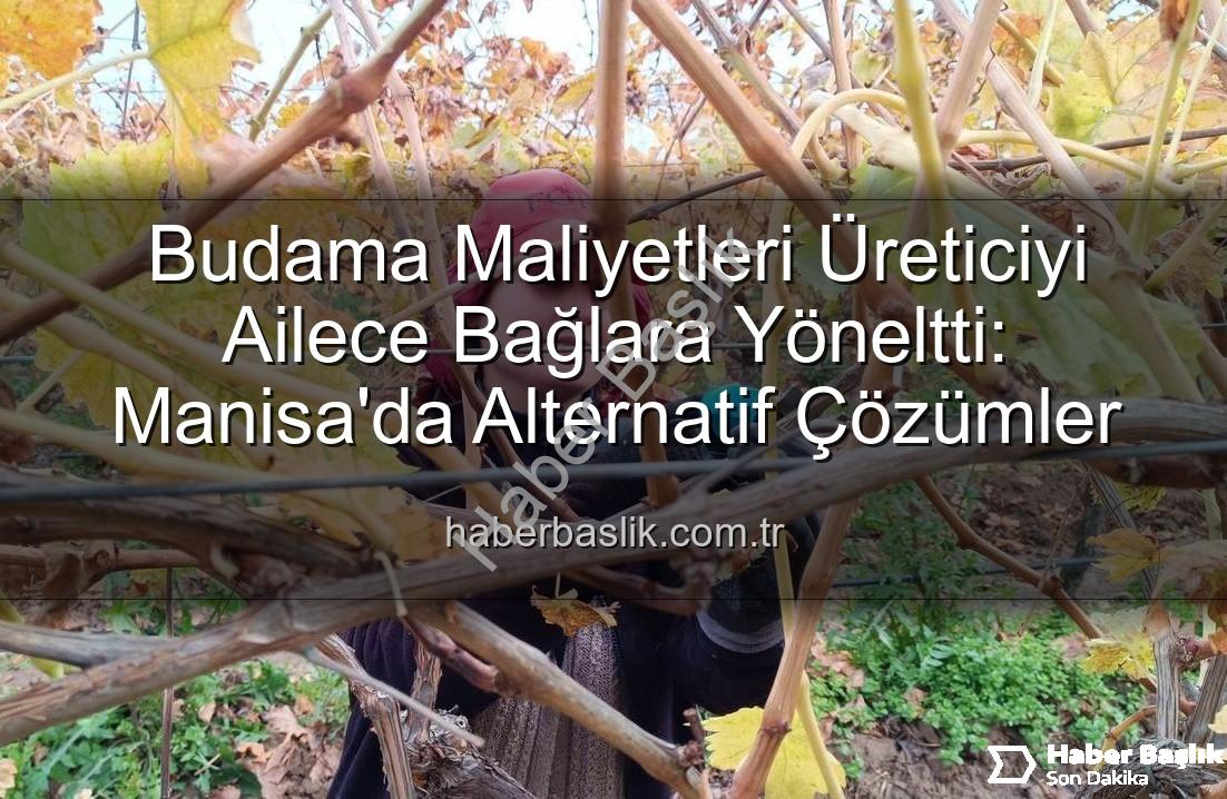 budama maliyeti - Budama Maliyetleri Üreticiyi Ailece Bağlara Yöneltti: Manisa'da Alternatif Çözümler
