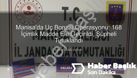 Manisa’da Uç Bonzai Operasyonu: 168 İçimlik Madde Ele Geçirildi, Şüpheli Tutuklandı
