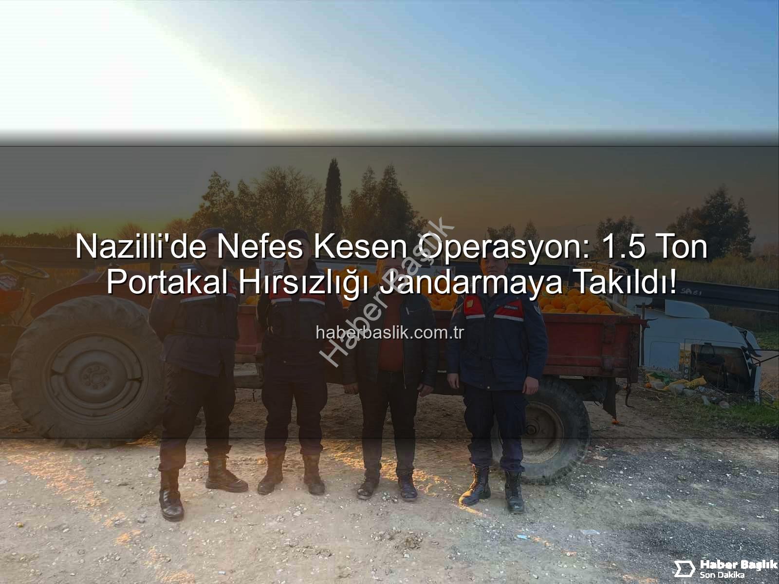 portakal hırsızlığı - Nazilli'de Nefes Kesen Operasyon: 1.5 Ton Portakal Hırsızlığı Jandarmaya Takıldı!