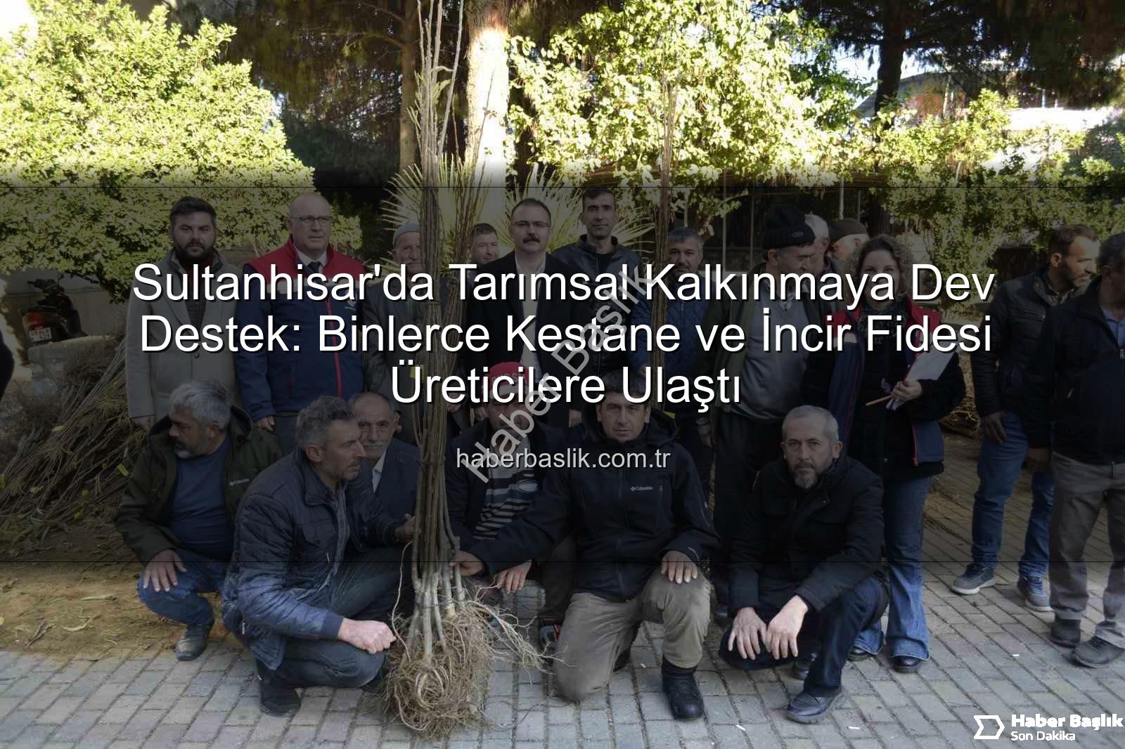 kestane incir fidesi - Sultanhisar'da Tarımsal Kalkınmaya Dev Destek: Binlerce Kestane ve İncir Fidesi Üreticilere Ulaştı