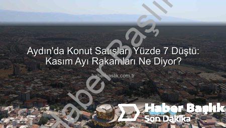 Aydın’da Konut Satışları Yüzde 7 Düştü: Kasım Ayı Rakamları Ne Diyor?