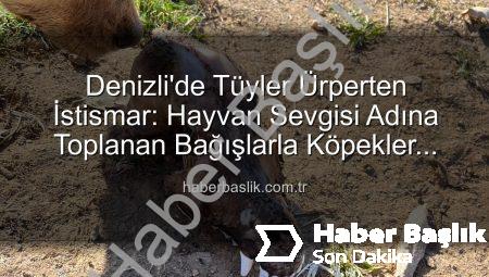 Denizli’de Tüyler Ürperten İstismar: Hayvan Sevgisi Adına Toplanan Bağışlarla Köpekler Açlıktan Birbirini Yedi