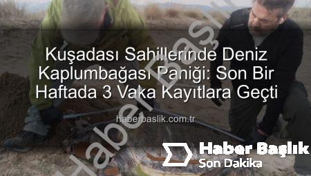Kuşadası Sahillerinde Deniz Kaplumbağası Paniği: Son Bir Haftada 3 Vaka Kayıtlara Geçti