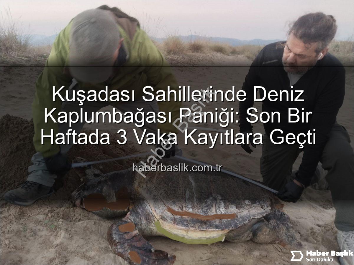 deniz kaplumbağası - Kuşadası Sahillerinde Deniz Kaplumbağası Paniği: Son Bir Haftada 3 Vaka Kayıtlara Geçti