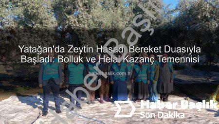Yatağan’da Zeytin Hasadı Bereket Duasıyla Başladı: Bolluk ve Helal Kazanç Temennisi