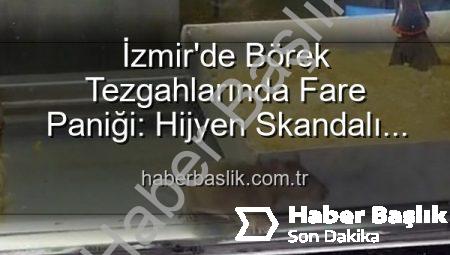 İzmir’de Börek Tezgahlarında Fare Paniği: Hijyen Skandalı Ortaya Çıktı, İşletme Mühürlendi