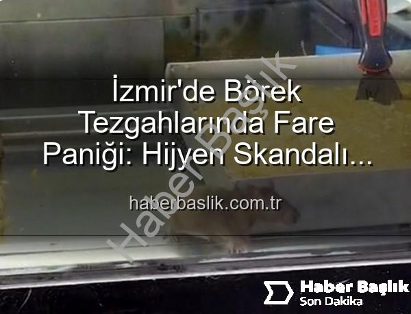 börek tezgahlarında fare - İzmir'de Börek Tezgahlarında Fare Paniği: Hijyen Skandalı Ortaya Çıktı, İşletme Mühürlendi