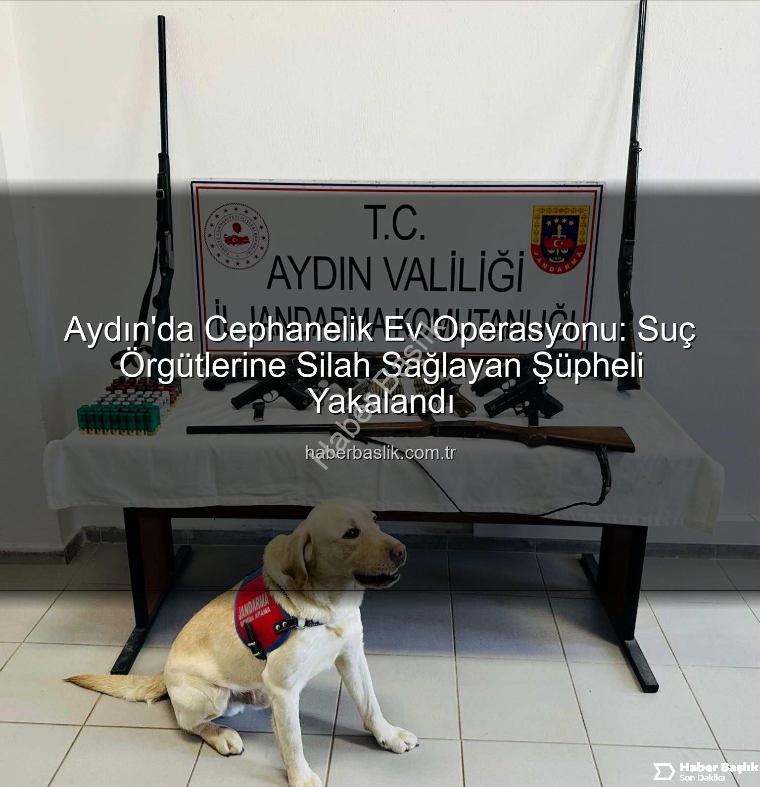 Aydın silah operasyonu - Aydın'da Cephanelik Ev Operasyonu: Suç Örgütlerine Silah Sağlayan Şüpheli Yakalandı