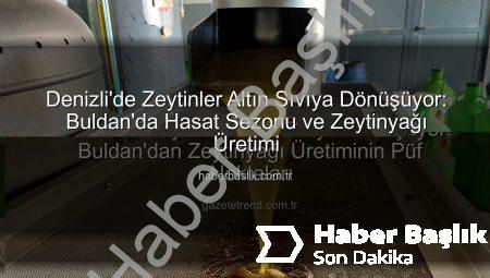 Denizli’de Zeytinler Altın Sıvıya Dönüşüyor: Buldan’da Hasat Sezonu ve Zeytinyağı Üretimi