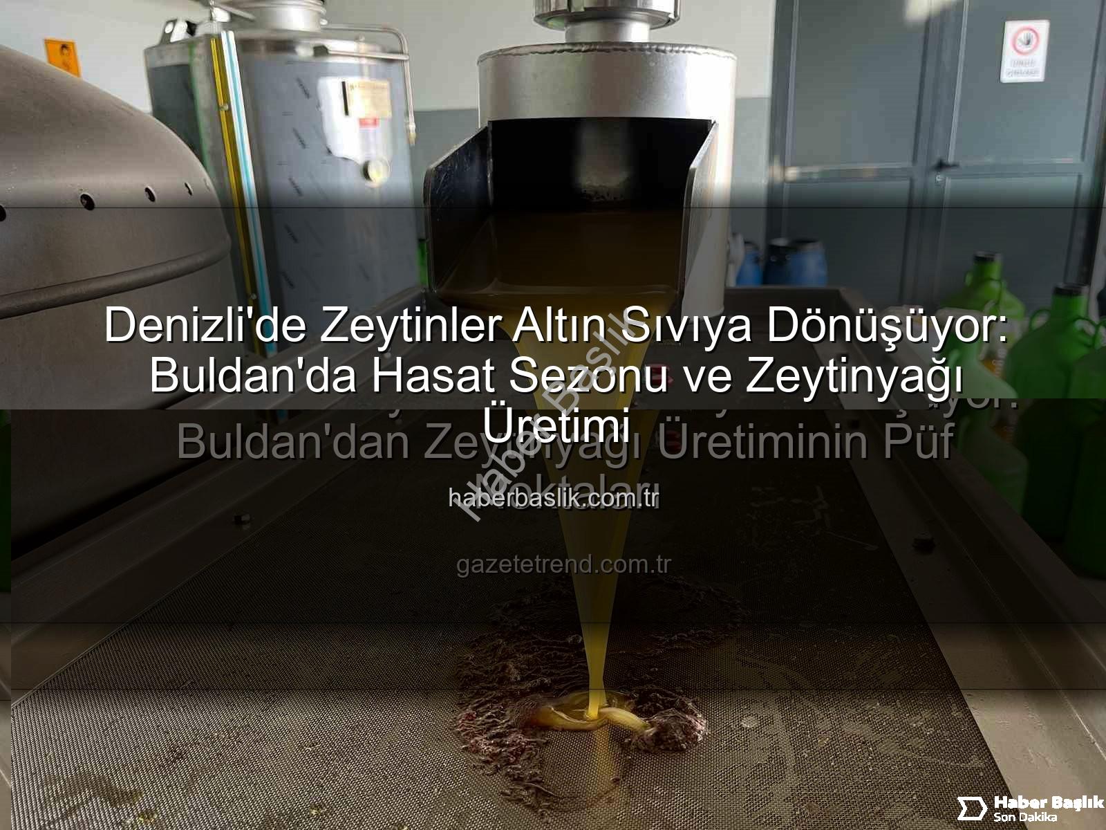zeytinyağı üretimi - Denizli'de Zeytinler Altın Sıvıya Dönüşüyor: Buldan'da Hasat Sezonu ve Zeytinyağı Üretimi