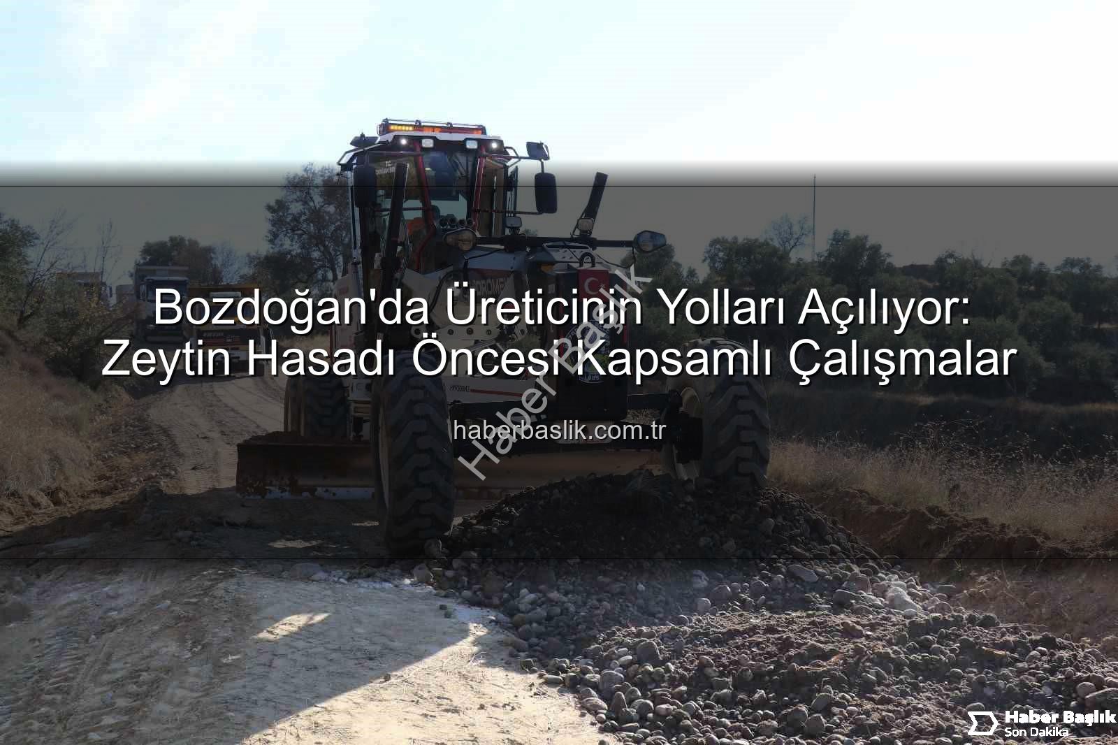 üretici yolları - Bozdoğan'da Üreticinin Yolları Açılıyor: Zeytin Hasadı Öncesi Kapsamlı Çalışmalar