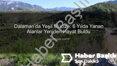Dalaman’da Yeşil Mucize: 6 Yılda Yanan Alanlar Yeniden Hayat Buldu