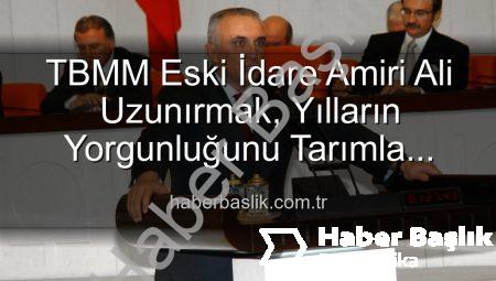 TBMM Eski İdare Amiri Ali Uzunırmak, Yılların Yorgunluğunu Tarımla Atıyor: İncir Bahçelerinde Yeni Bir Hayat